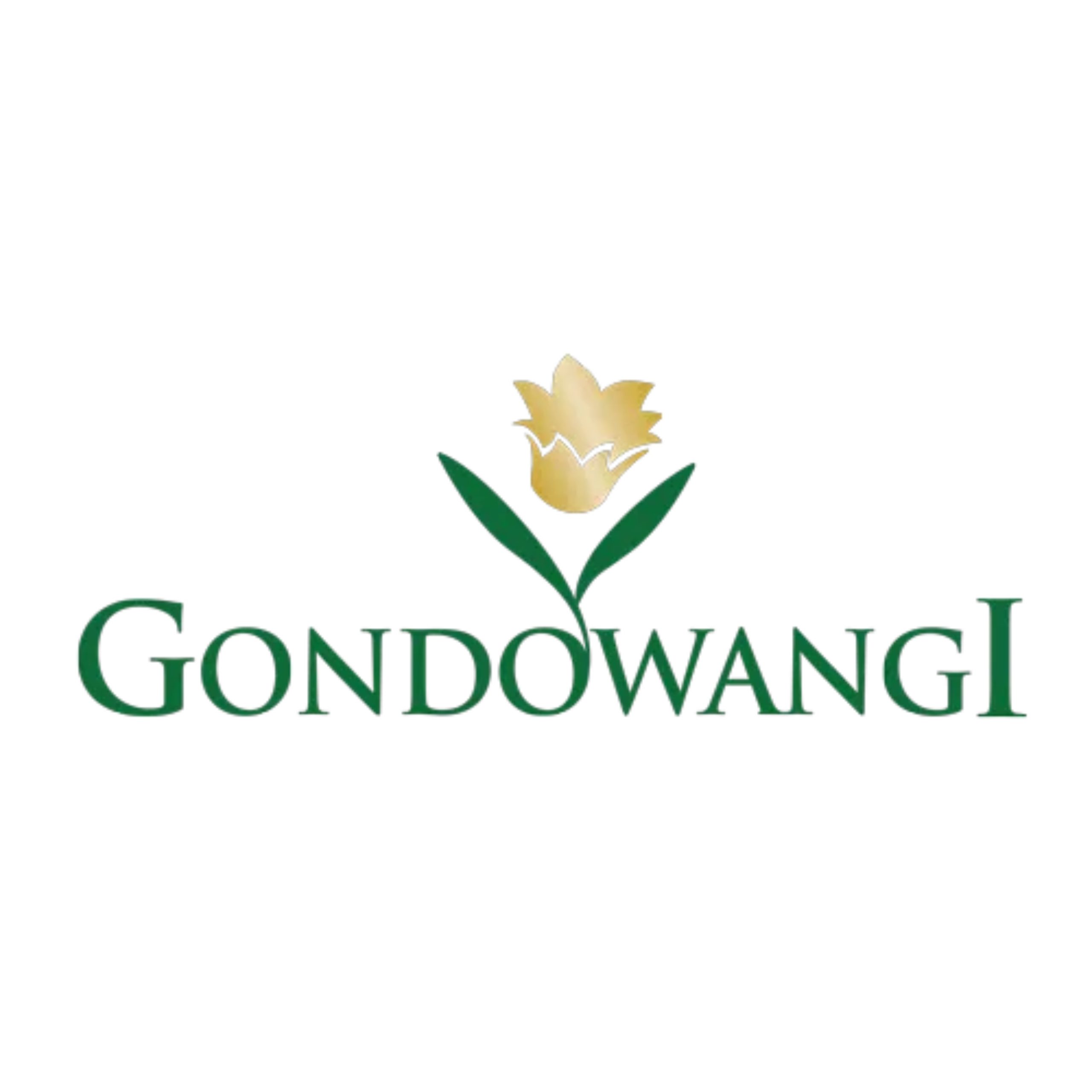 Lowongan Kerja PT Gondowangi Posisi PPIC Manager